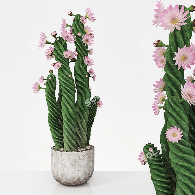 Versatile 5-Plant Bundle: Vray & Corona ready 3D model image 1