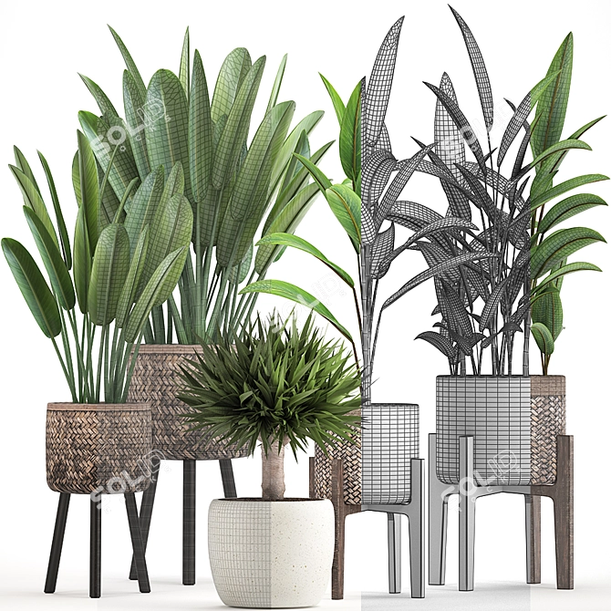 Exquisite Indoor Plant Collection 3D model image 3