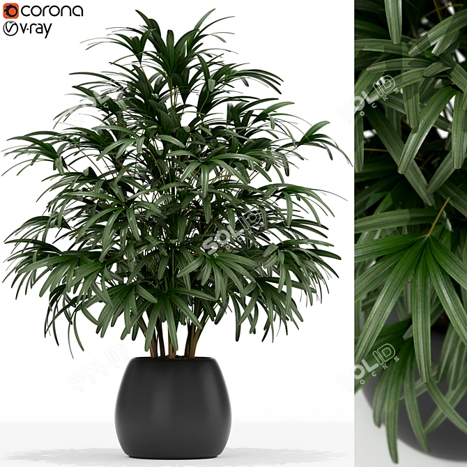 170-Piece Plant Collection: Stunning Poly and Vert Counts 3D model image 1