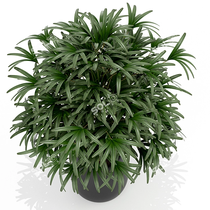 170-Piece Plant Collection: Stunning Poly and Vert Counts 3D model image 2