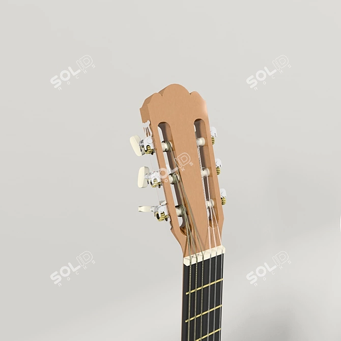 Affordable and Durable Colombo Acoustic Guitar 3D model image 2