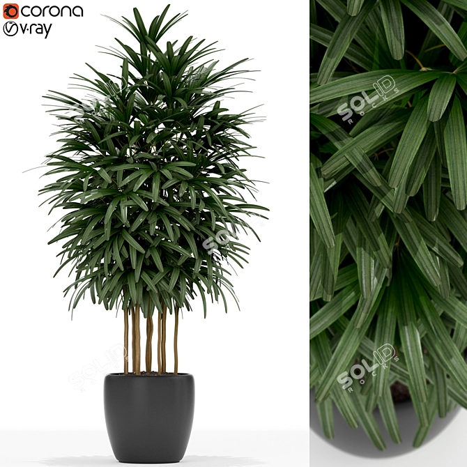 171 Plants Collection for Home 3D model image 1