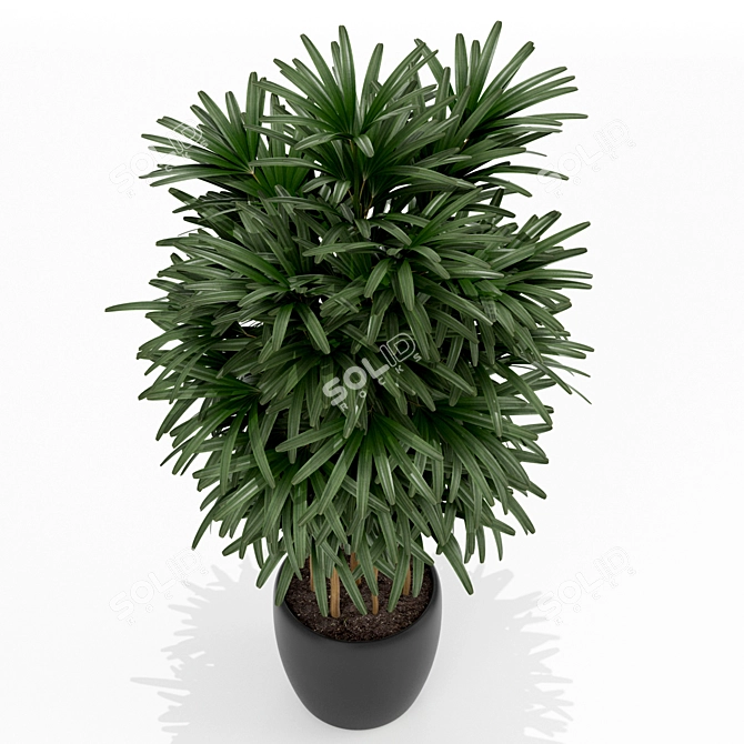 171 Plants Collection for Home 3D model image 2