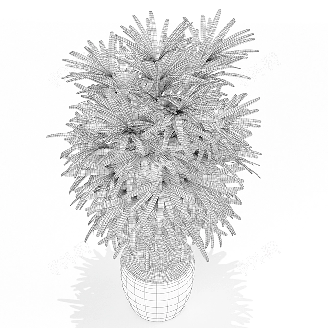 171 Plants Collection for Home 3D model image 3