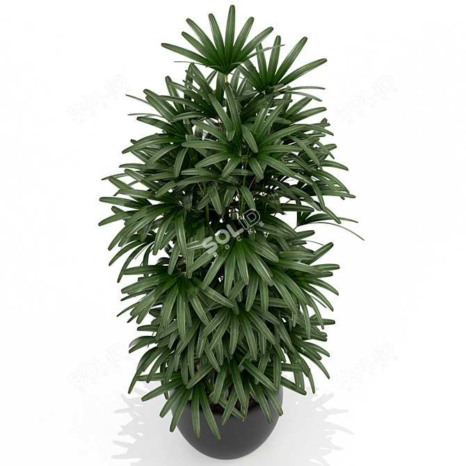 Green Oasis: 172 Botanical Beauties 3D model image 2