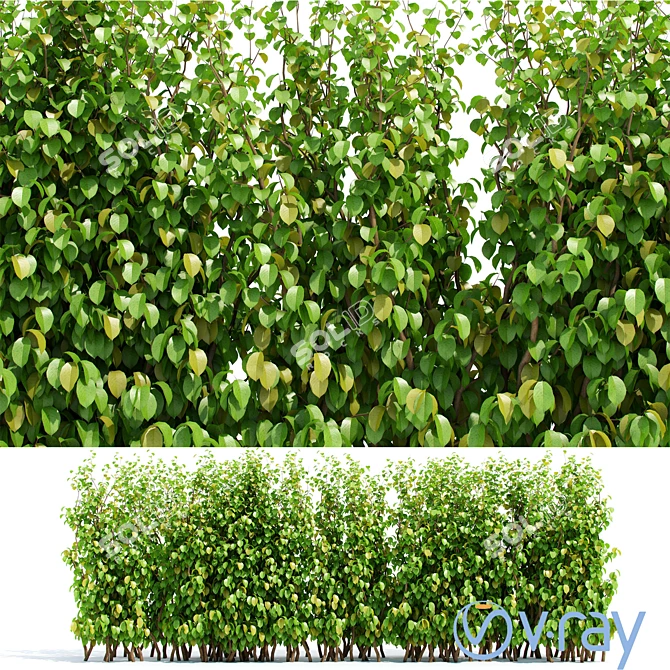 Lush Green Hedge Panel - 2 Element Garden Privacy Screen 3D model image 1