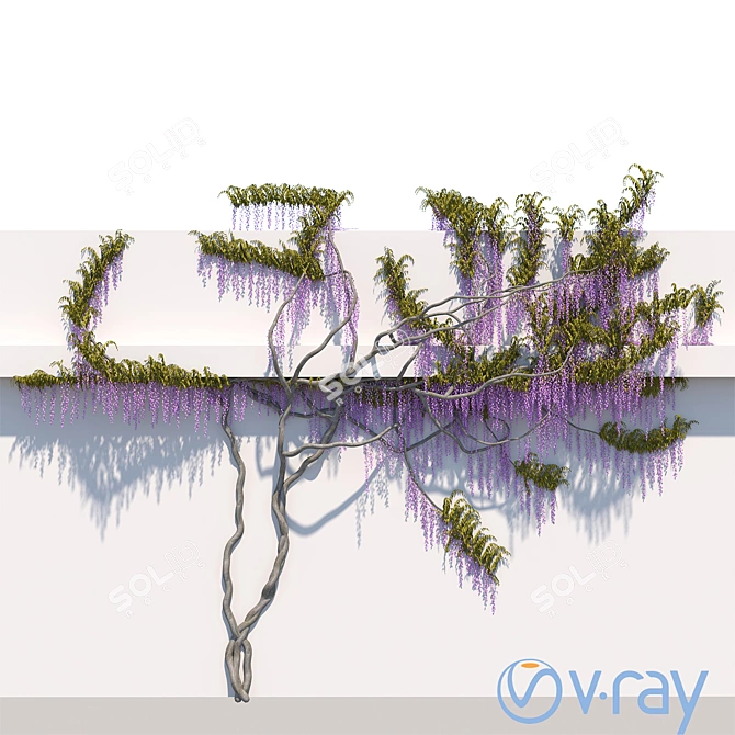 Wisteria - Beautiful Geometric Foliage 3D model image 1