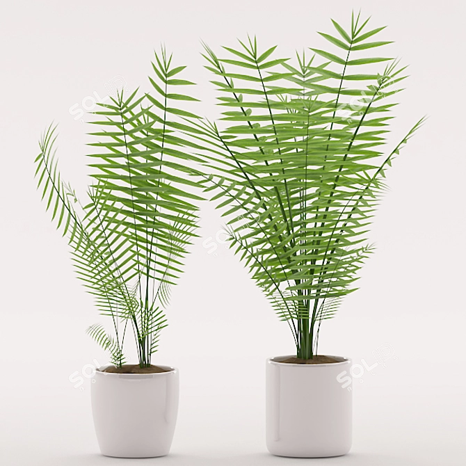 Tropical Palm Plant in Ceramic Pot 3D model image 2