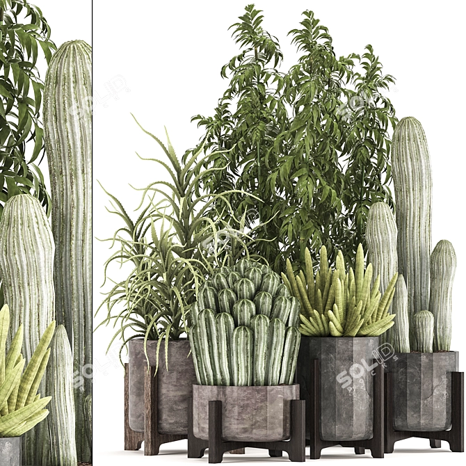 Exotic Plant Collection 3D model image 1
