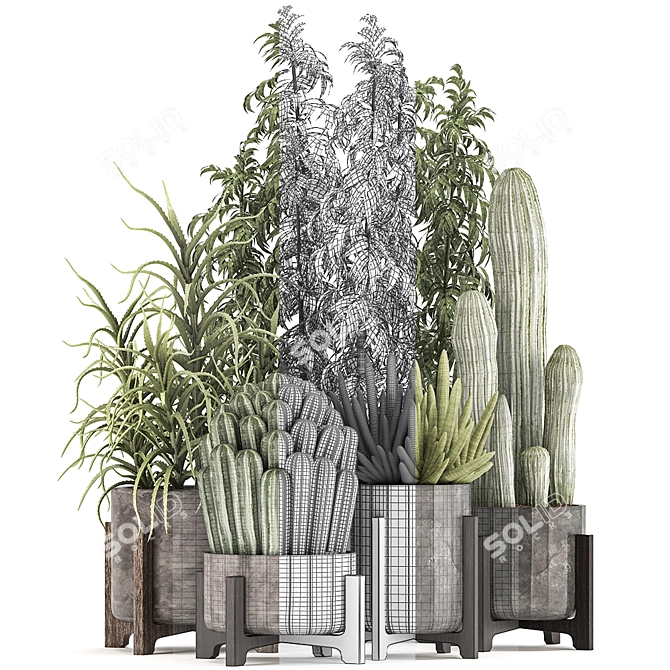 Exotic Plant Collection 3D model image 3