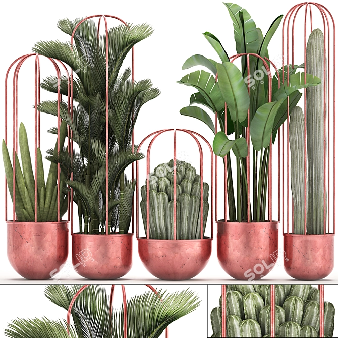 Exotic Plant Collection: Cacti, Palm, Copper Pot 3D model image 1