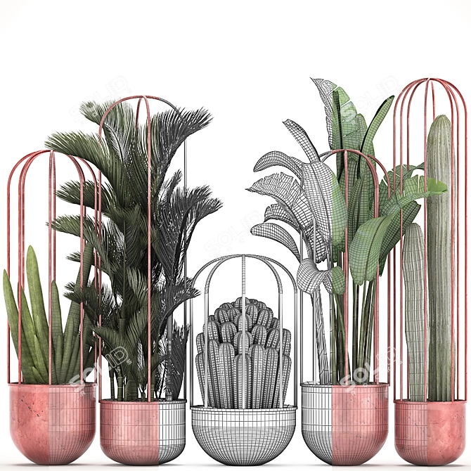 Exotic Plant Collection: Cacti, Palm, Copper Pot 3D model image 3