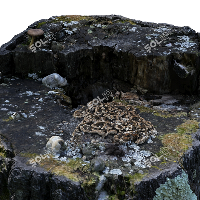 Title: Realistic Forest Stump Sculpture 3D model image 2