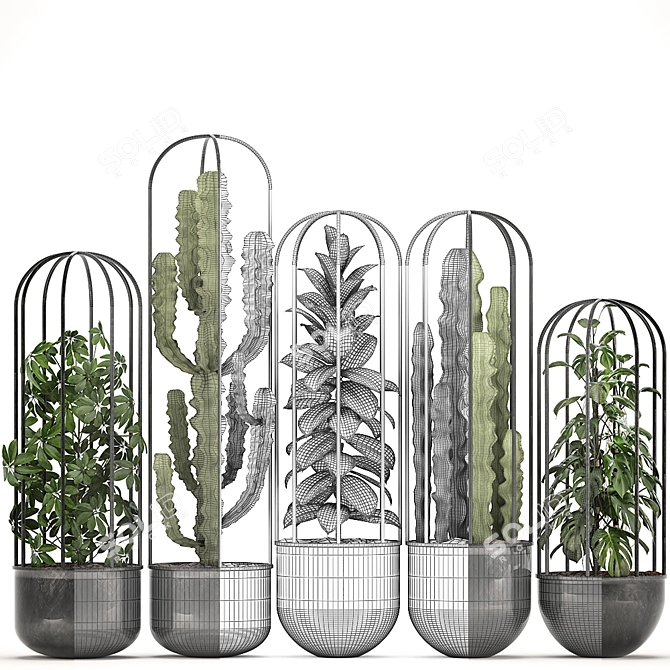 Exotic Indoor Plant Collection 3D model image 3