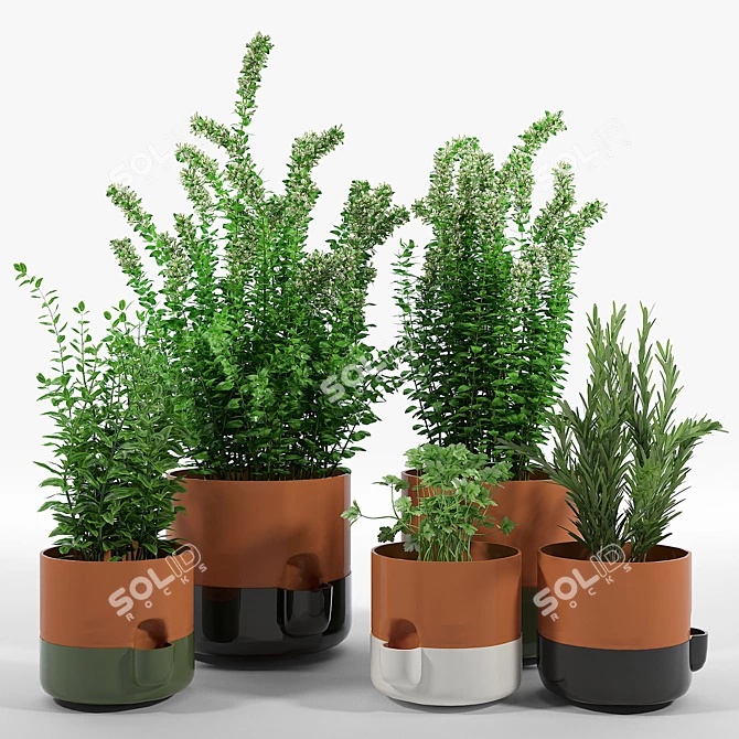 Oasis Terracotta Flower Pot 3D model image 1