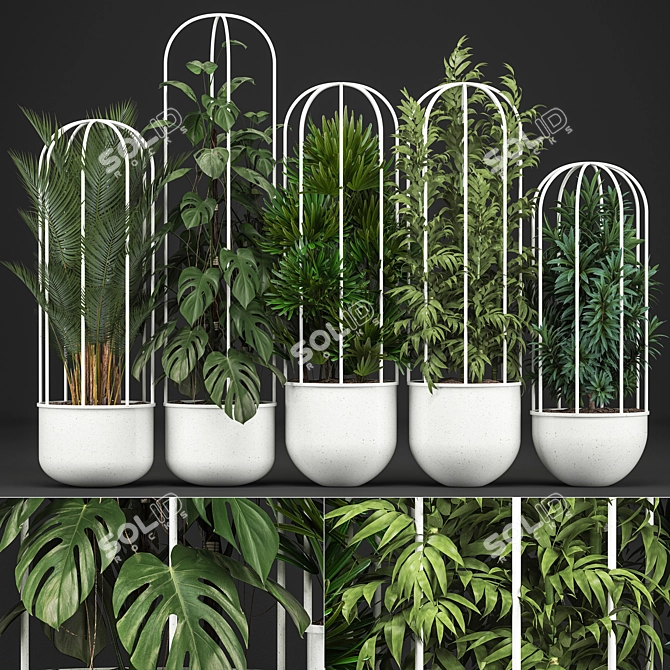 Exotic Indoor Plant Collection 3D model image 1