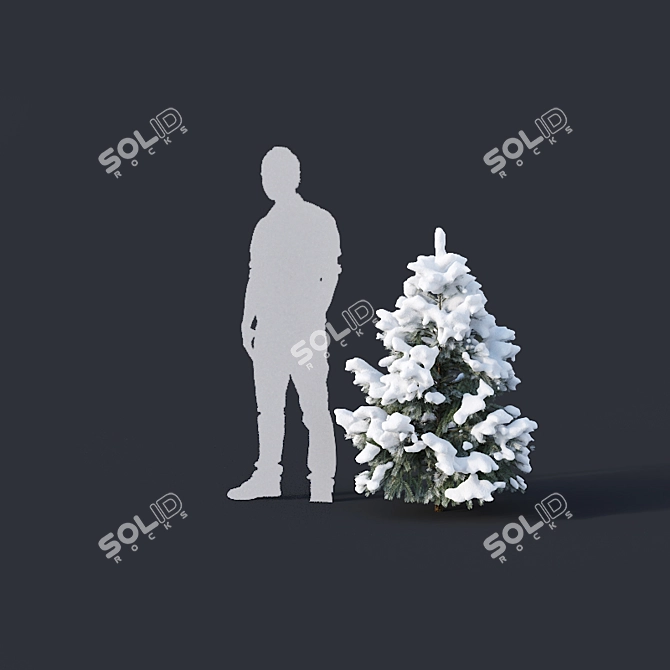 Winter Wonderland Pine Collection 3D model image 3