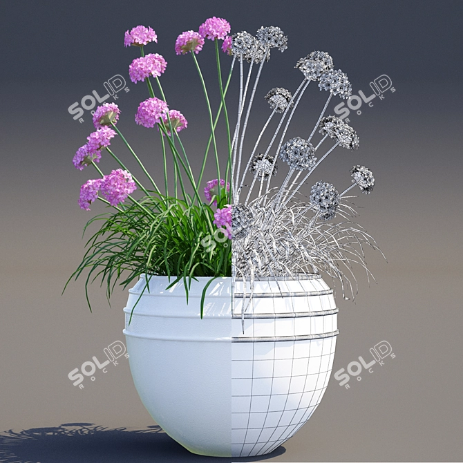 Coastal Beauty in a Pot | Primorsky Armeria 3D model image 2