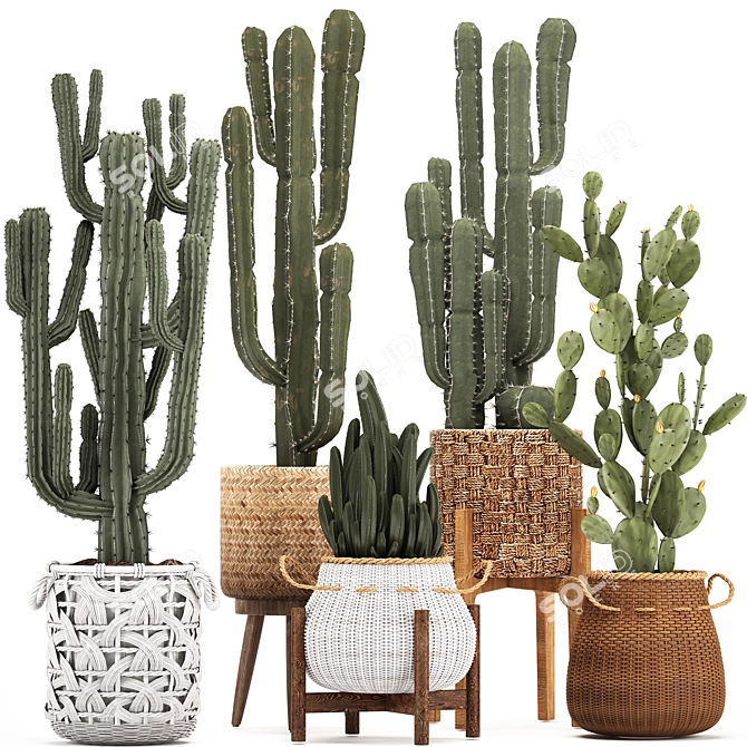 Exotic Houseplant Collection: Cacti & Prickly Pear 3D model image 1