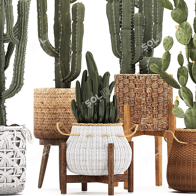 Exotic Houseplant Collection: Cacti & Prickly Pear 3D model image 2