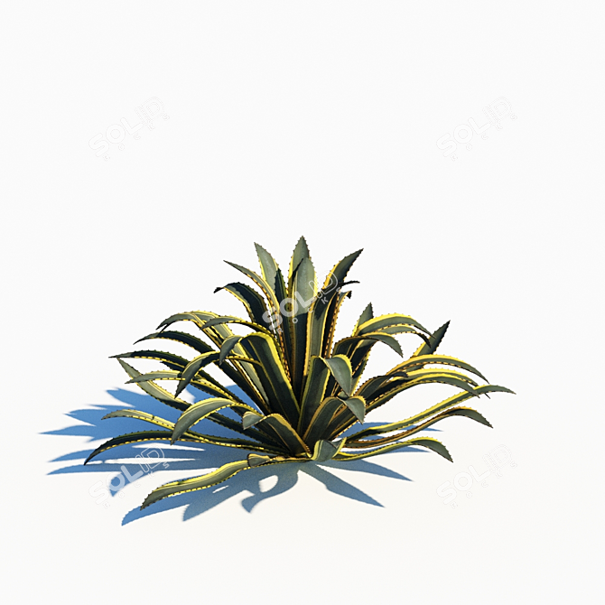 Agave Americana: Stunning, Natural, Realistic 3D model image 2