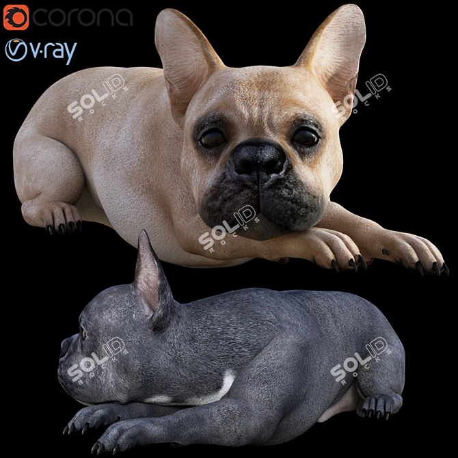 Vibrant Bulldog 3D Model 3D model image 1