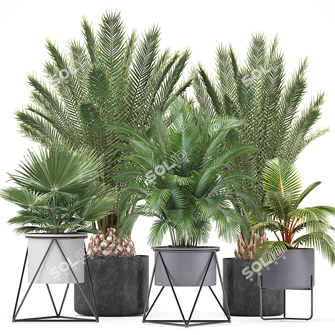 Exotic Indoor Plant Collection 3D model image 1