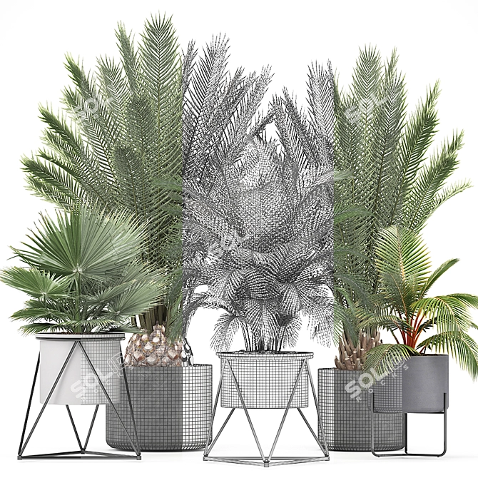 Exotic Indoor Plant Collection 3D model image 3