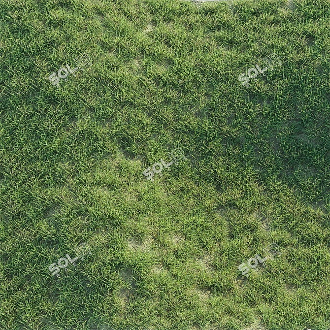 Lush Green Grass Mat 3D model image 2