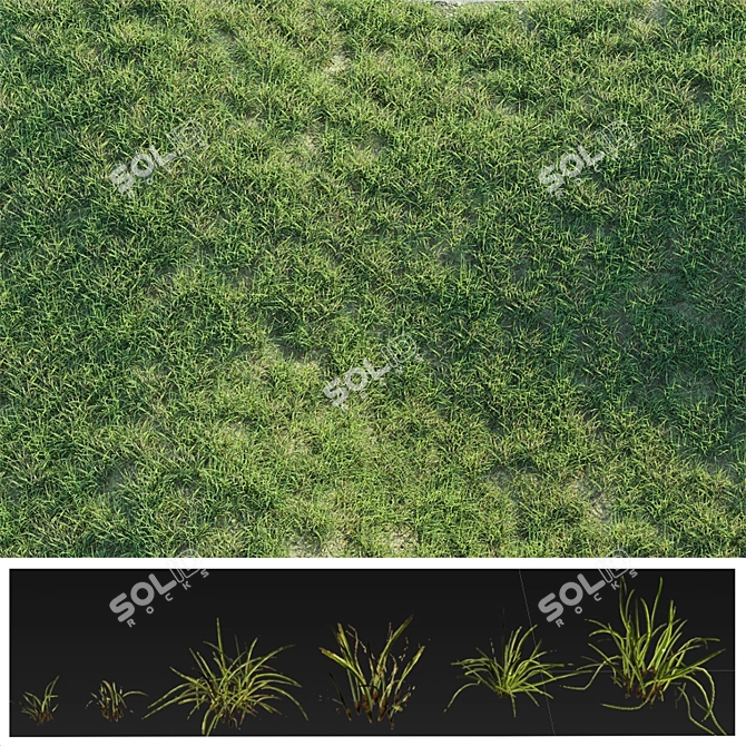 Lush Green Grass Mat 3D model image 3