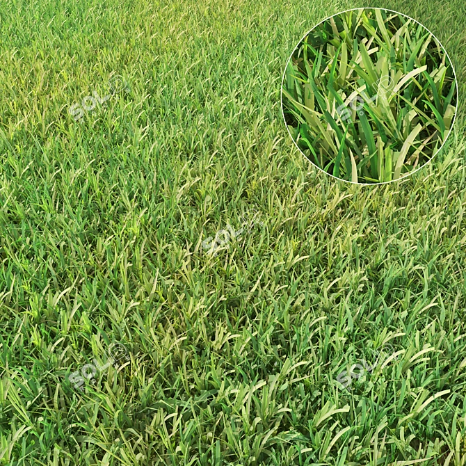 Lush Translucent Grass 3D model image 1