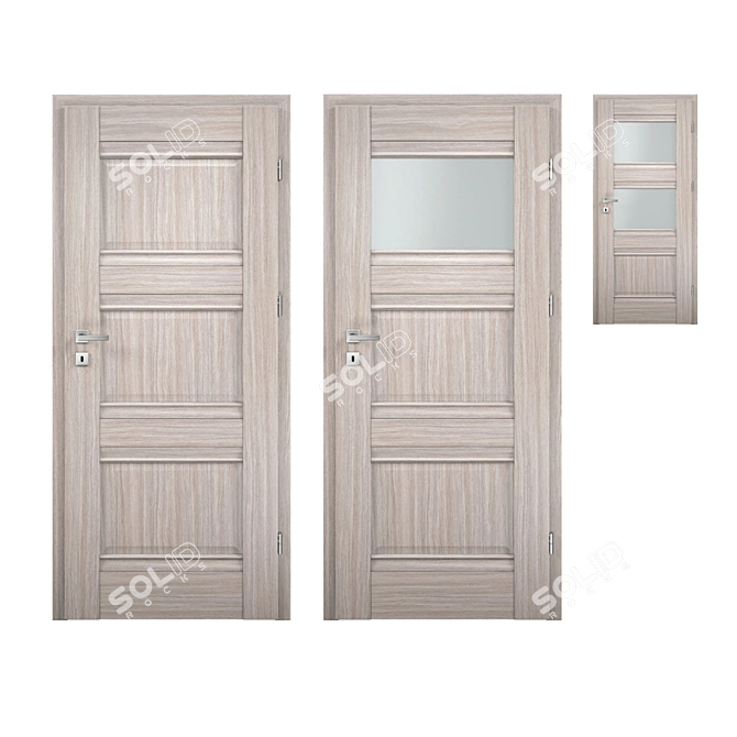 Elegant Gray Oak Interior Doors 3D model image 1