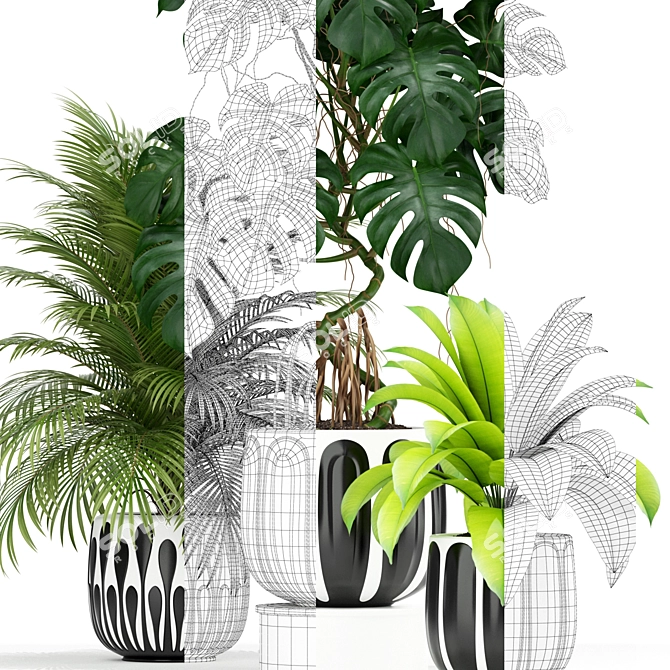 179 Plant Collection: Poly 1.22M, Verts 721K 3D model image 2