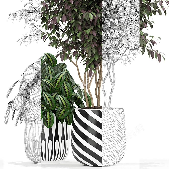 179 Plant Collection: Poly 1.22M, Verts 721K 3D model image 3