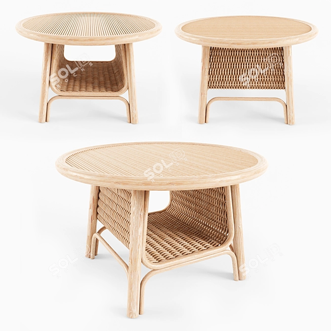  ORCHID Edition CORRIDOR Low Rattan Coffee Table 3D model image 1