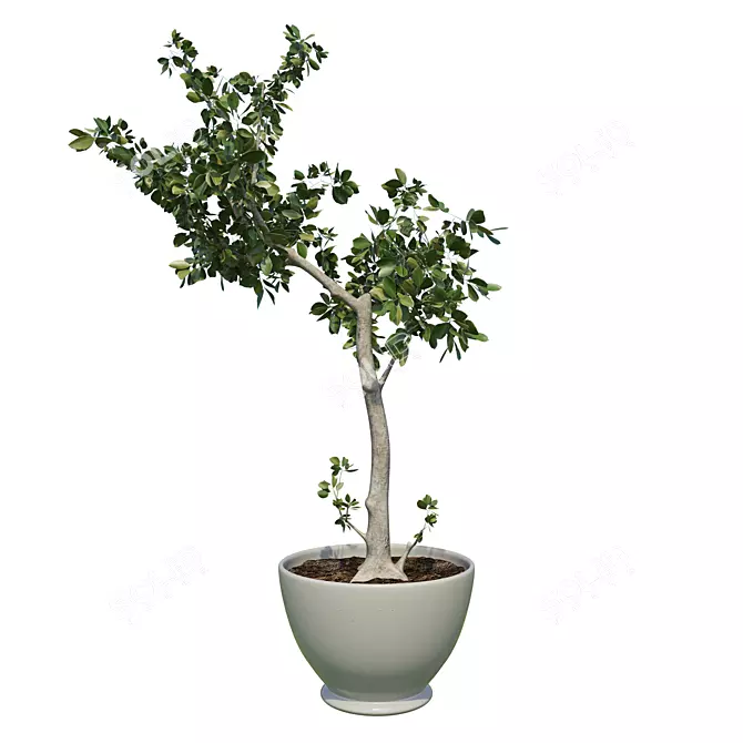 Potted Tree: A Touch of Nature 3D model image 1