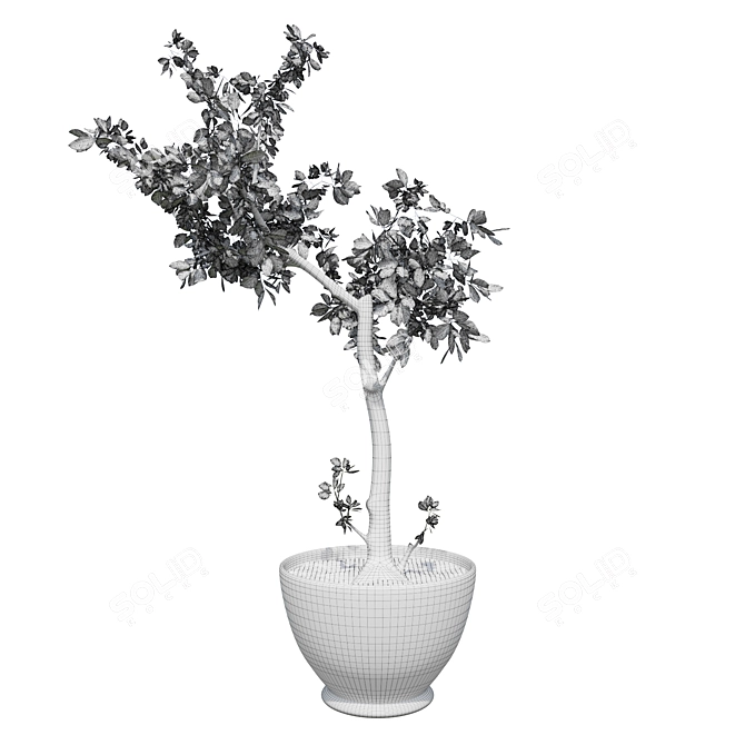 Potted Tree: A Touch of Nature 3D model image 3