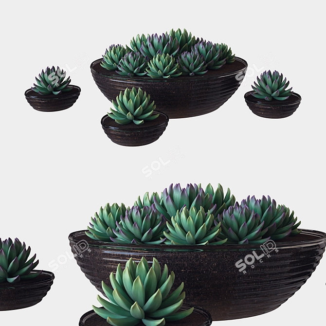 Succulent Glass Pot: 3D Render 3D model image 1