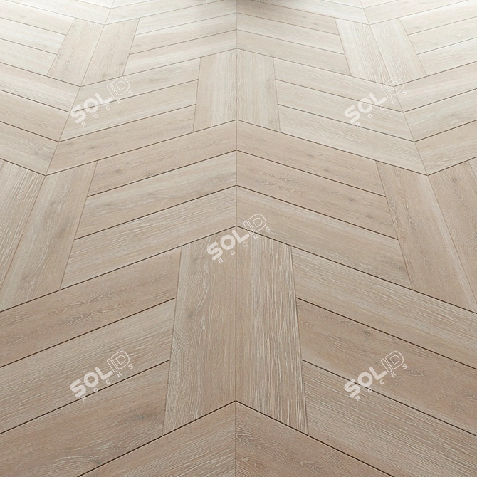 Zonta Chevron Oak Parquet 3D model image 2