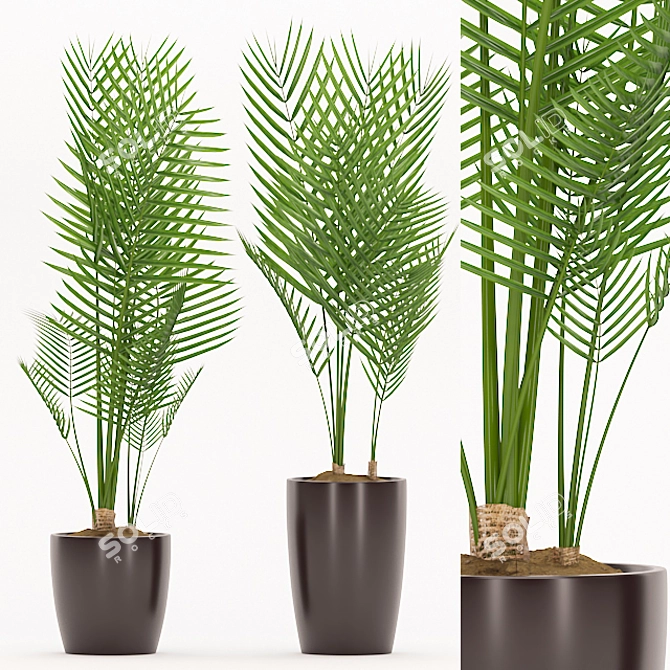 Glossy Pot Palm Plant 3D model image 1