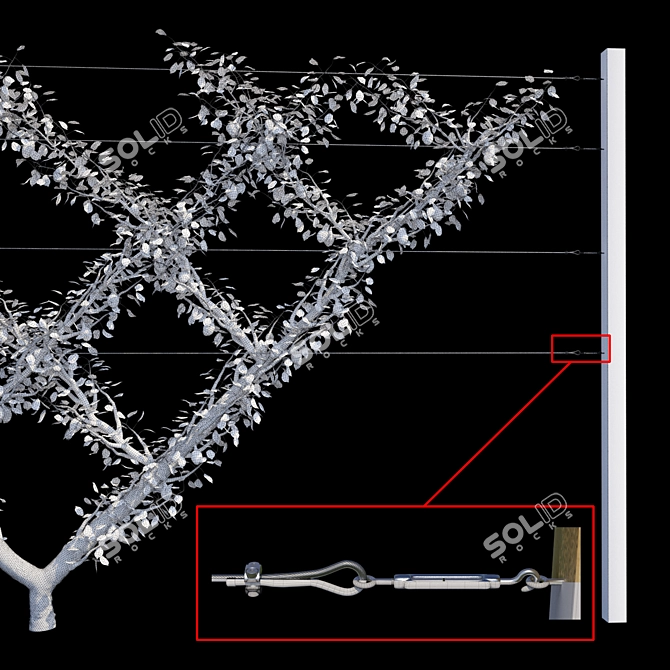 Fruitful Screen Trellis | Pear Pleached 3D model image 2