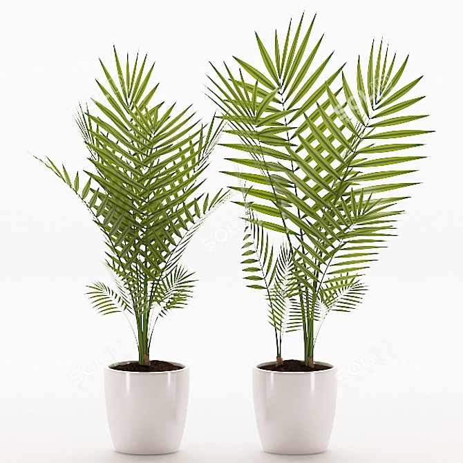 Tropical Palm Plant with Ceramic Pot 3D model image 2