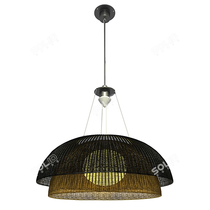 Seattle-inspired Wire Ceiling Light 3D model image 1