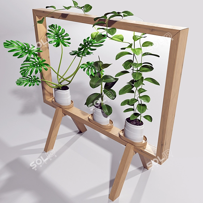 Green Oasis: Complete Plant Set 3D model image 10