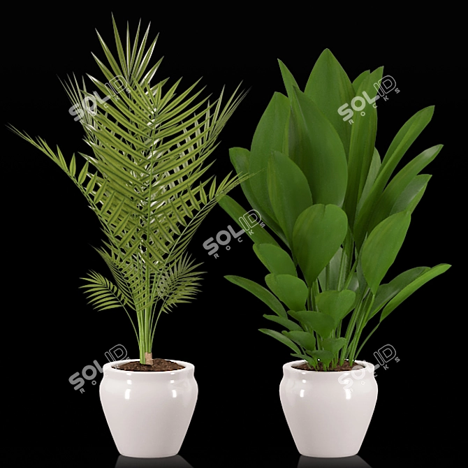 Elegant Greenery for Your Space 3D model image 2