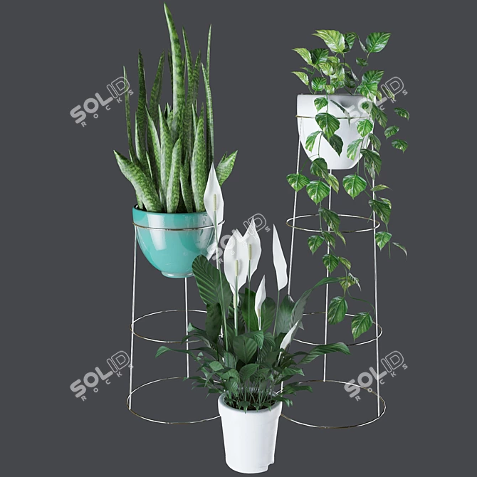 Tropical Harmony: Indoor Plant Collection 3D model image 1