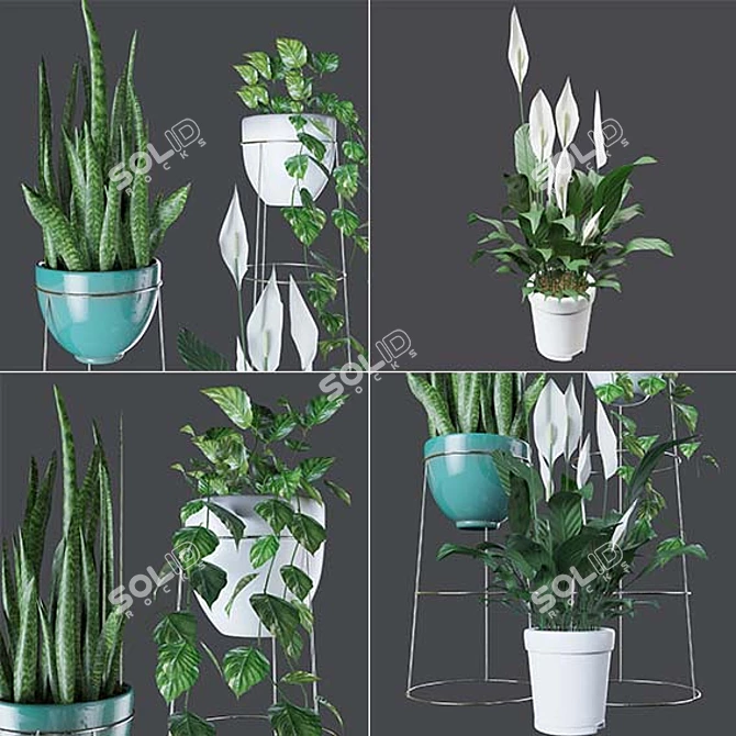 Tropical Harmony: Indoor Plant Collection 3D model image 2