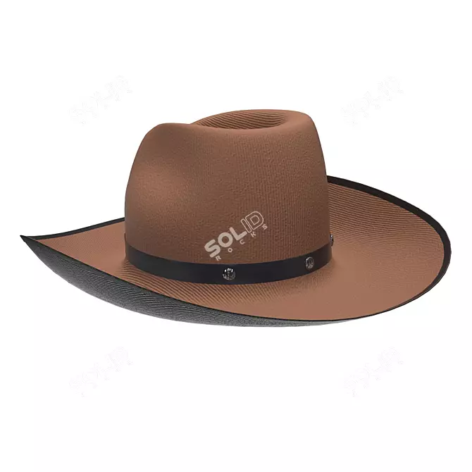 Rugged Western Cowboy Hat 3D model image 1