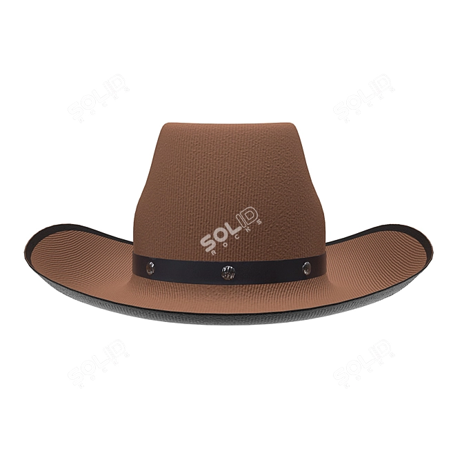 Rugged Western Cowboy Hat 3D model image 2