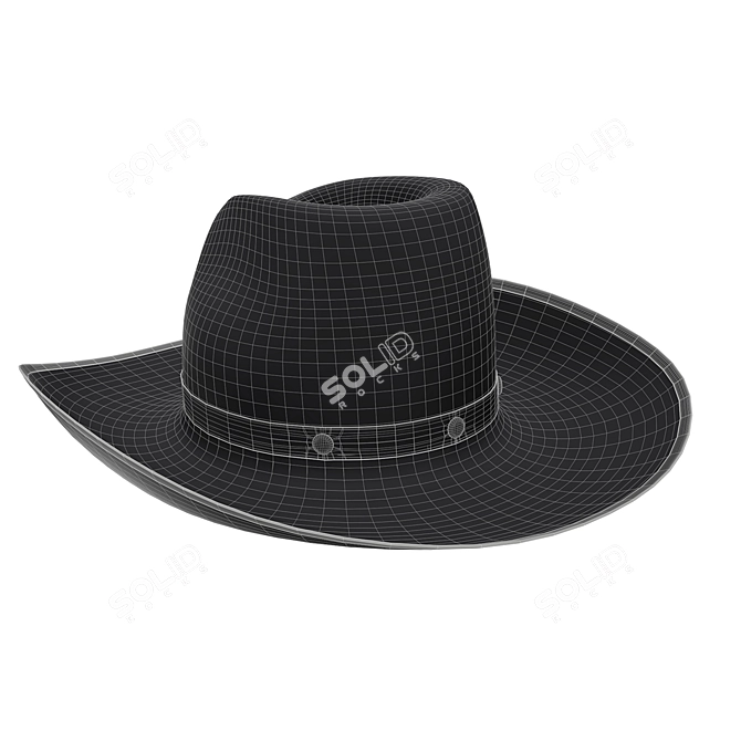 Rugged Western Cowboy Hat 3D model image 3